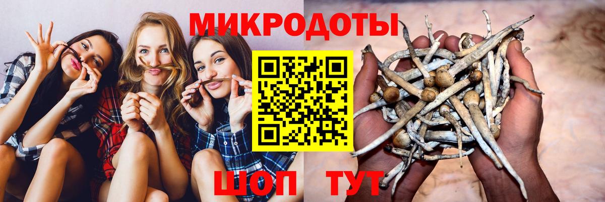 Ростов Великий  Псилоцибиновые грибы Cubensis  Вход с VPN 